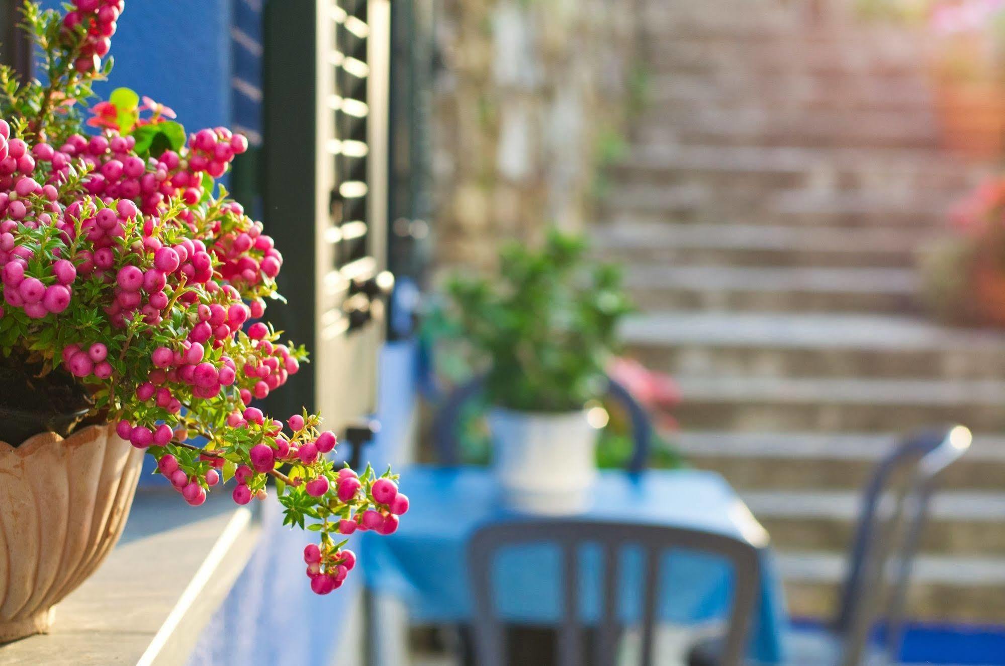 Aparthotel Cinqueterre 4*